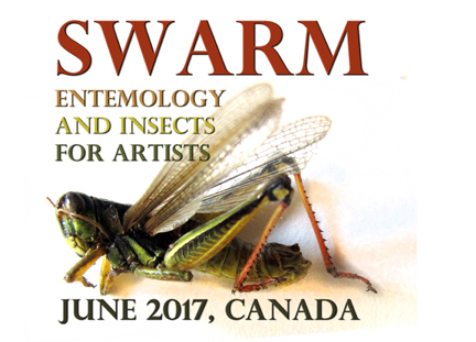 swarm